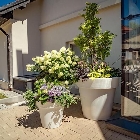 Hotel U Kaplicky Písek Dış mekan fotoğraf